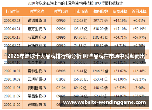 2025年篮球十大品牌排行榜分析 哪些品牌在市场中脱颖而出