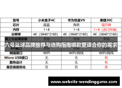 六号篮球品牌推荐与选购指南哪款更适合你的需求