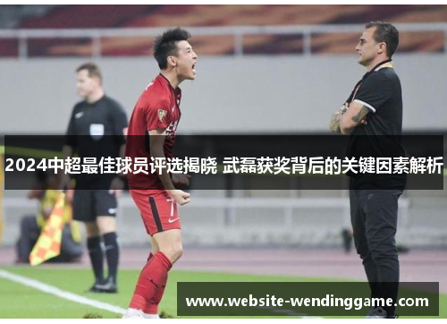 2024中超最佳球员评选揭晓 武磊获奖背后的关键因素解析