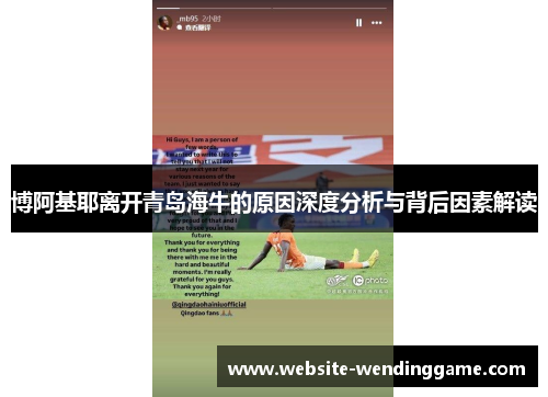 博阿基耶离开青岛海牛的原因深度分析与背后因素解读