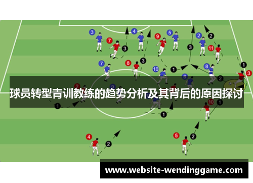 球员转型青训教练的趋势分析及其背后的原因探讨