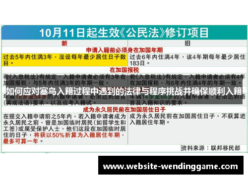 如何应对塞鸟入籍过程中遇到的法律与程序挑战并确保顺利入籍