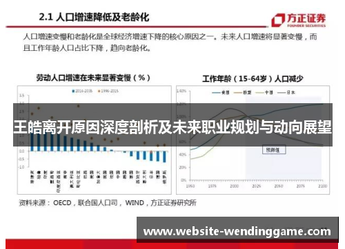 王皓离开原因深度剖析及未来职业规划与动向展望