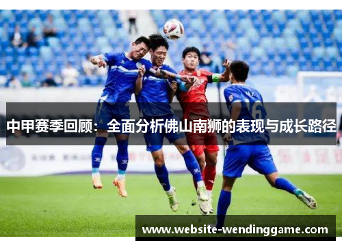中甲赛季回顾：全面分析佛山南狮的表现与成长路径